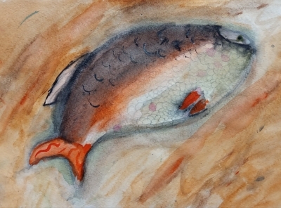 Полякова Анна