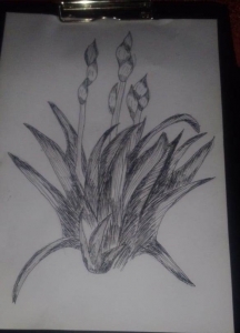 Булмасова Алена