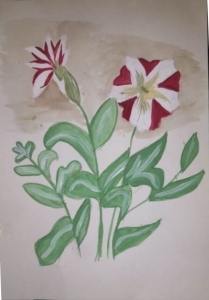 Булмасова Алена