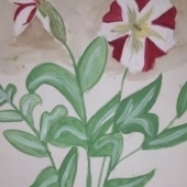 Булмасова Алена