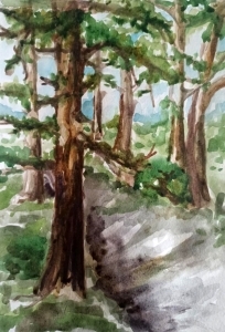 Попова Дарина