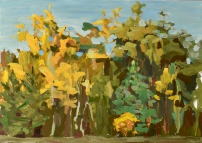 Буркова Софья