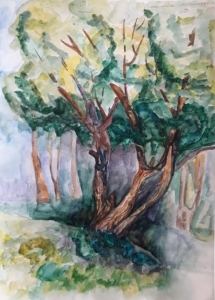 Еманова Ангелина