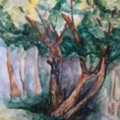 Еманова Ангелина