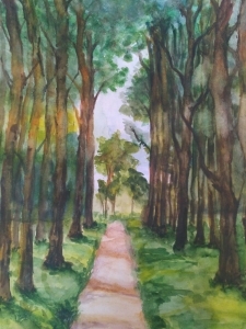 Кочергина Ольга