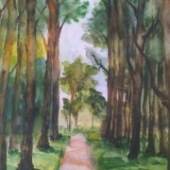 Кочергина Ольга