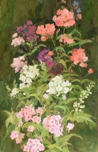 Соколова Полина