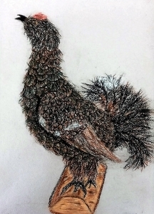 Белавская Ярославна
